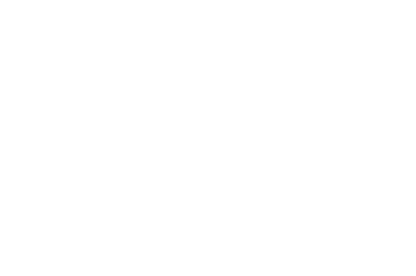 LeMax